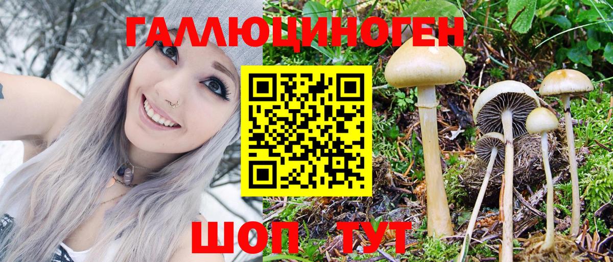 где можно купить наркотик  Псилоцибиновые грибы Magic Shrooms  Вход с VPN  Галлюциногенные грибы мицелий  Славгород 